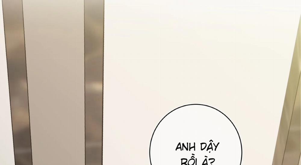 Home Five 52 trang 217