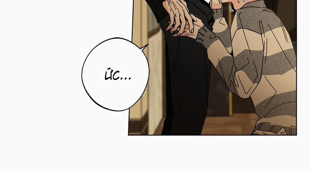 Home Five 52 trang 36