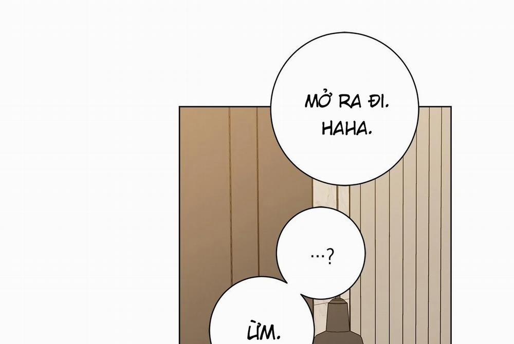 Home Five 53 trang 264