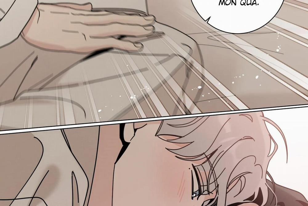 Home Five 53 trang 273