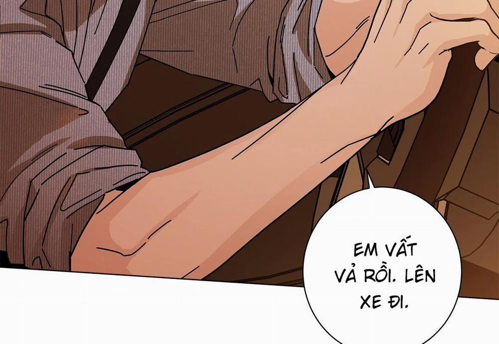 Home Five 53 trang 48