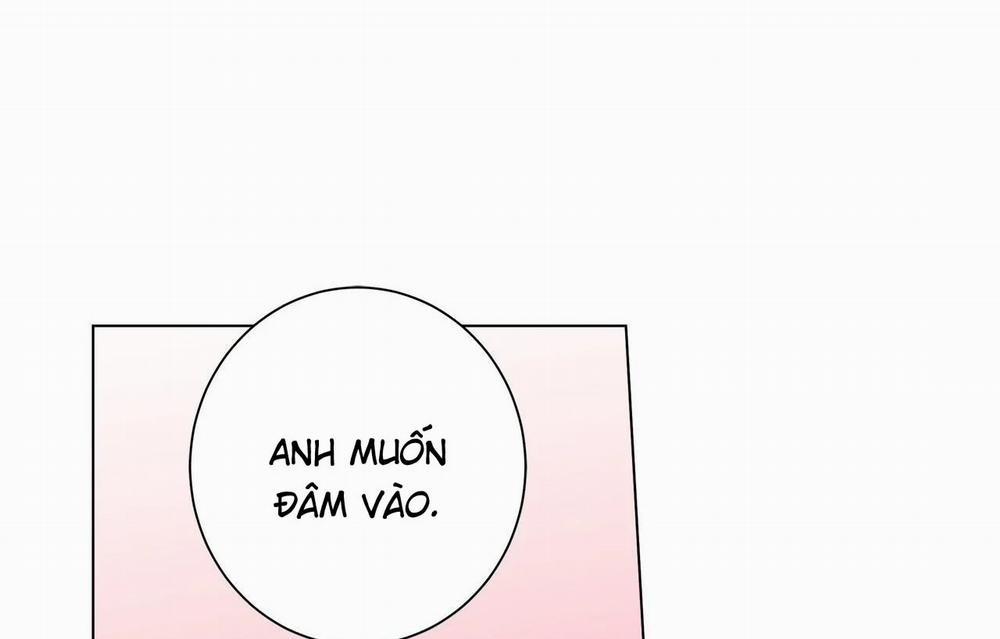 Home Five 54 trang 135