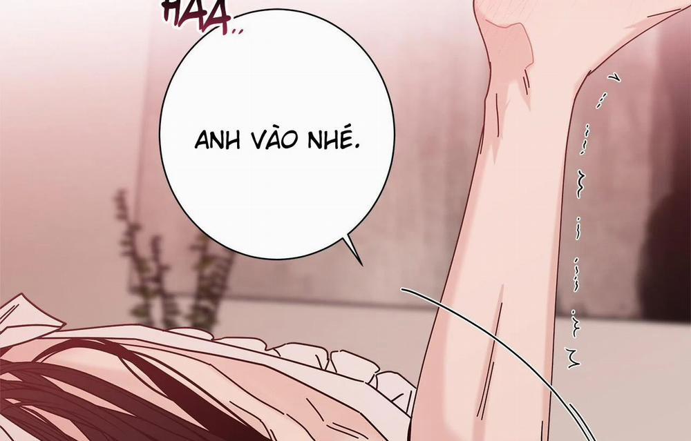 Home Five 54 trang 138