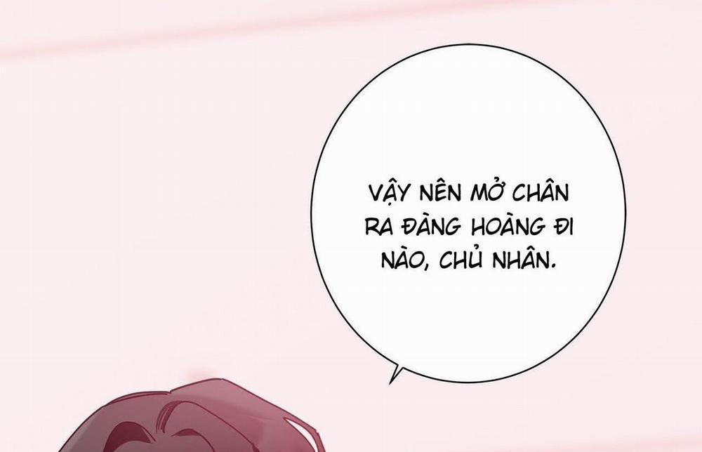 Home Five 54 trang 95