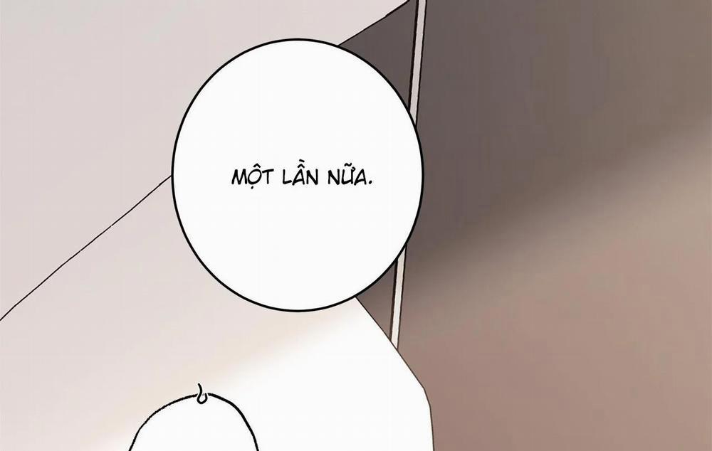 Home Five 55 trang 148