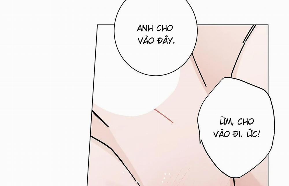 Home Five 55 trang 95