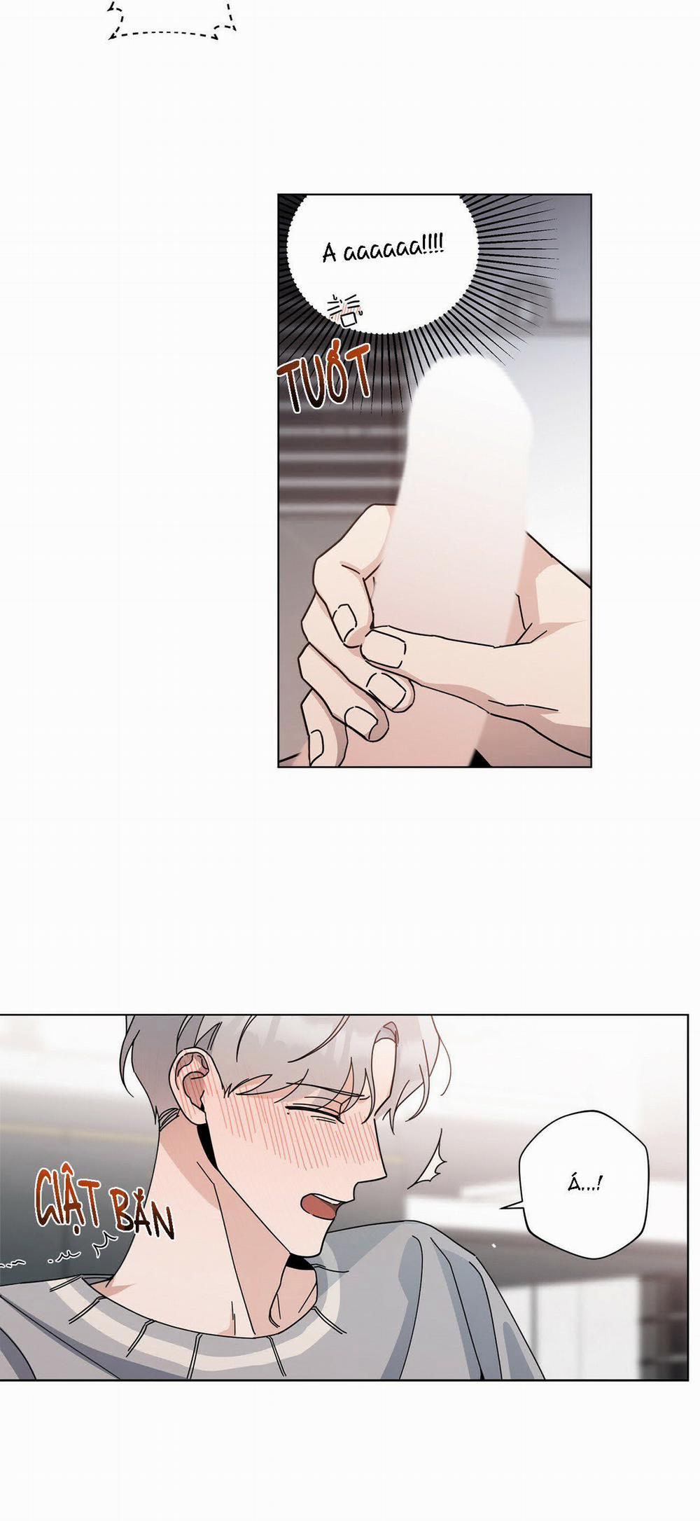 Home Five 6 trang 11