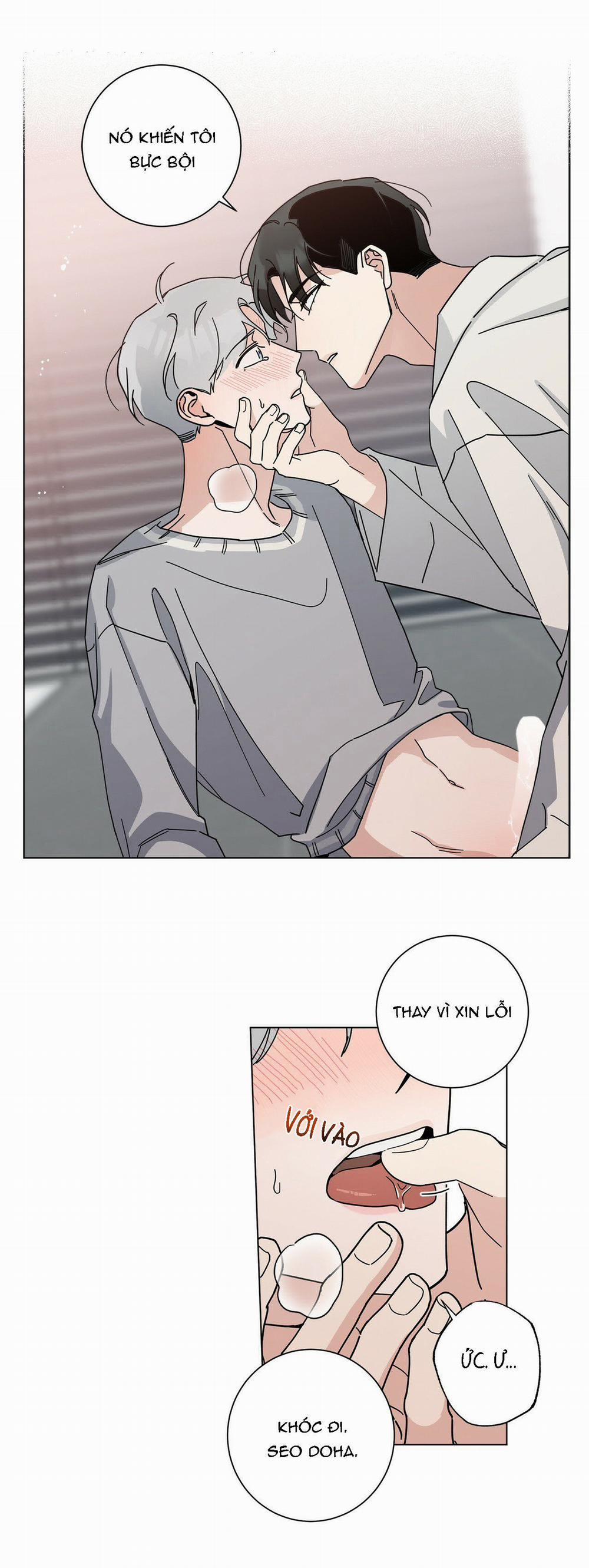 Home Five 6 trang 17