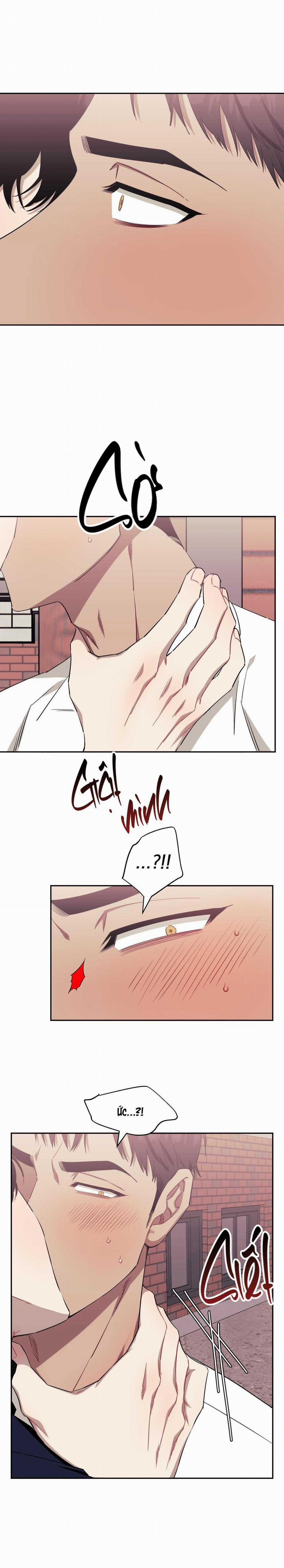 Hơn Cả Bạn Bè 100 trang 40