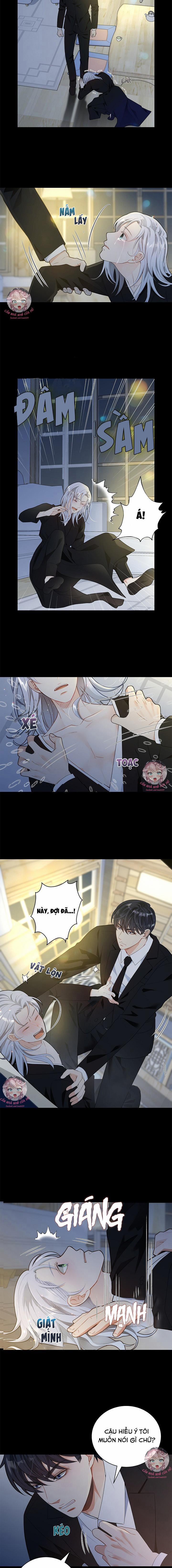 Hôn Nhân Bị Đánh Cắp Của Hồ Ly 1 trang 8