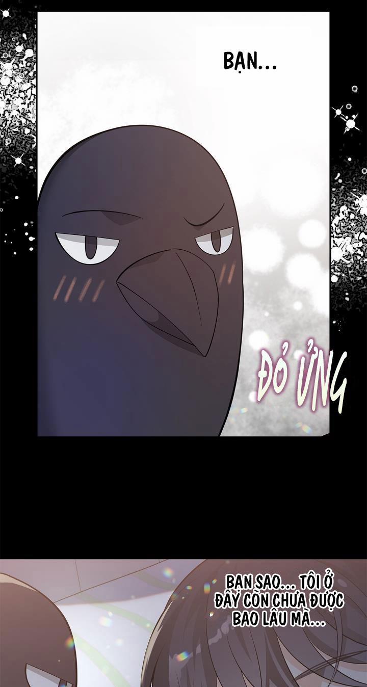 Hôn Nhân Bị Đánh Cắp Của Hồ Ly 34 trang 16