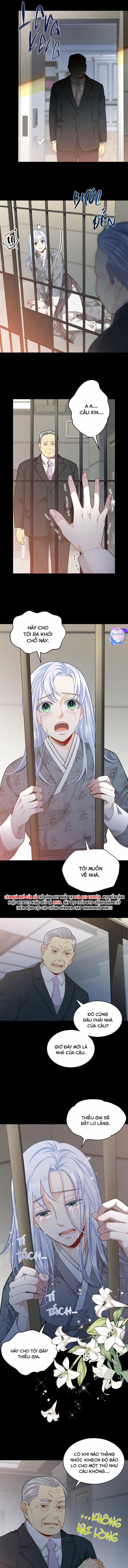 Hôn Nhân Bị Đánh Cắp Của Hồ Ly 38 trang 8