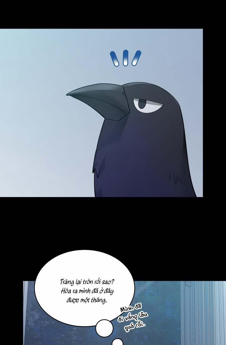 Hôn Nhân Bị Đánh Cắp Của Hồ Ly 39 trang 4