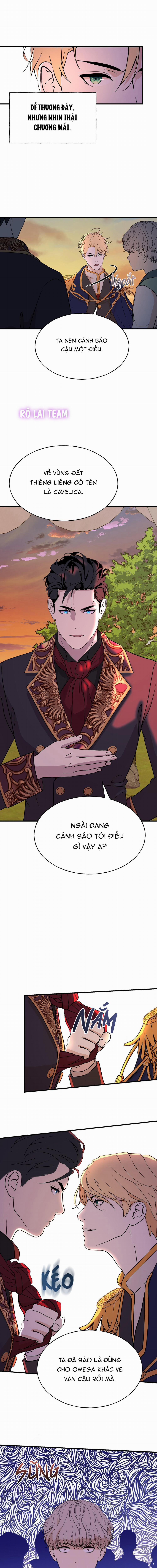 Hôn Nhân Hoàng Gia 9 trang 7