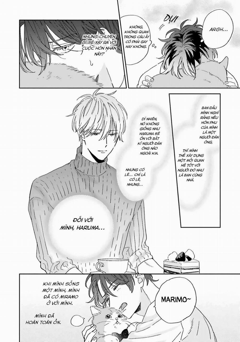 Hôn Nhân Ngọt Ngào Đầy Bất Ngờ 3 trang 10