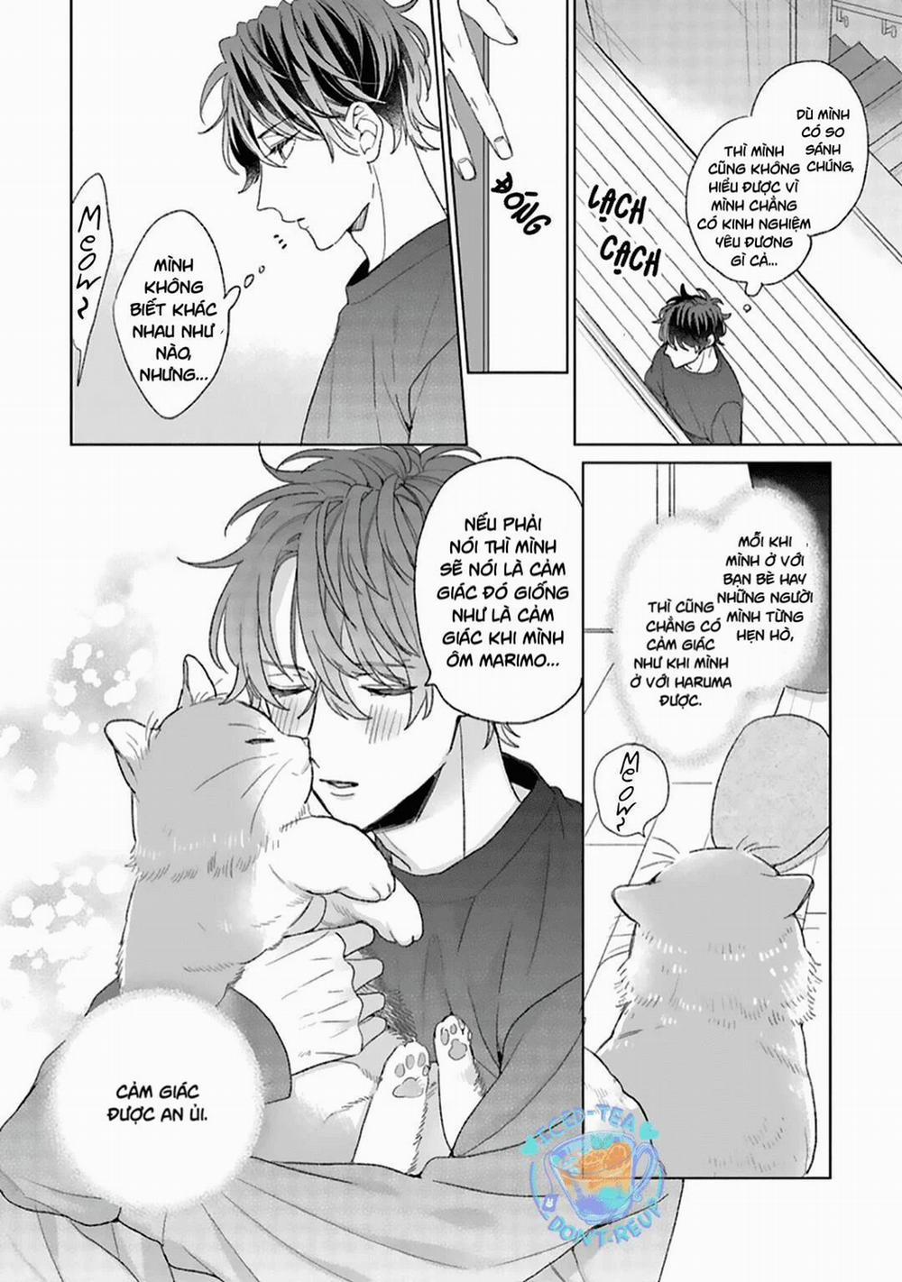 Hôn Nhân Ngọt Ngào Đầy Bất Ngờ 4 trang 25