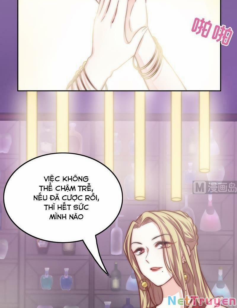 Hôn Tỉnh Thần Bảo Hộ Của Tôi 71 trang 14