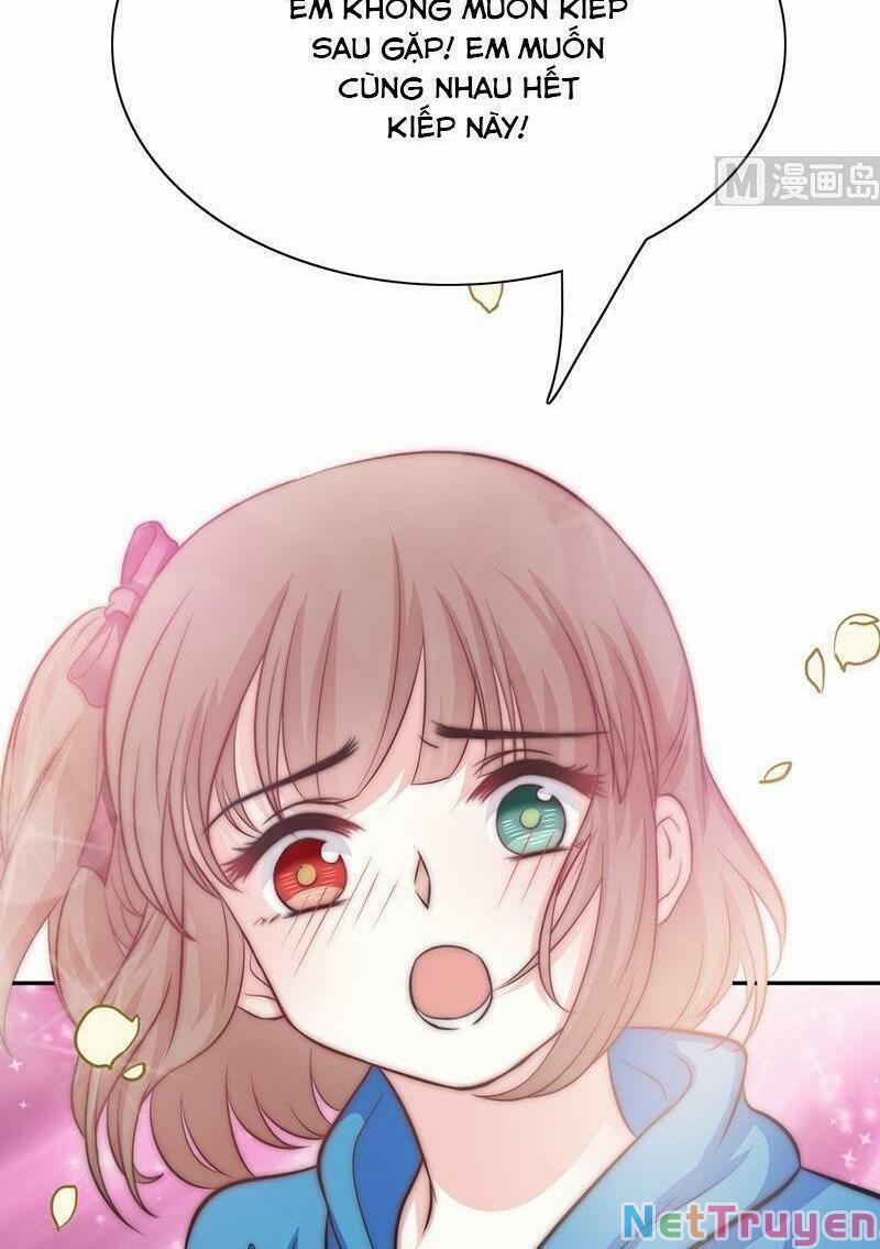 Hôn Tỉnh Thần Bảo Hộ Của Tôi 72 trang 6