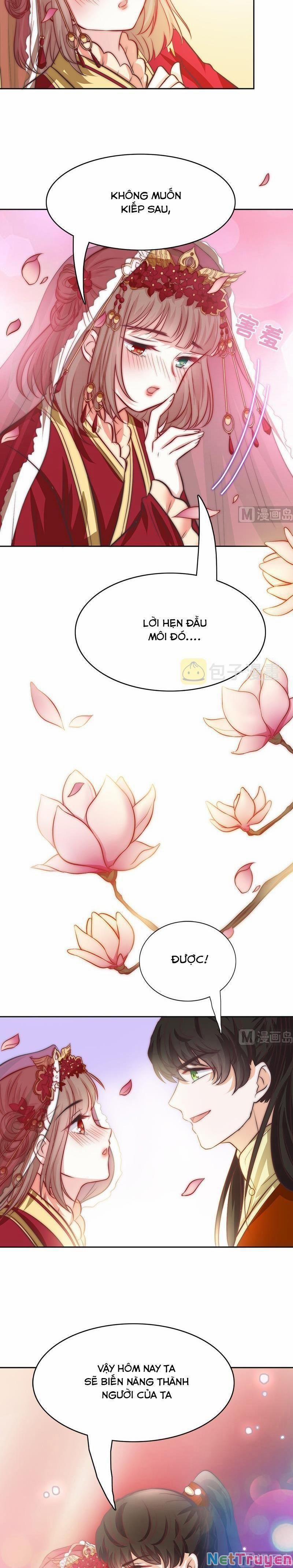 Hôn Tỉnh Thần Bảo Hộ Của Tôi 77 trang 6