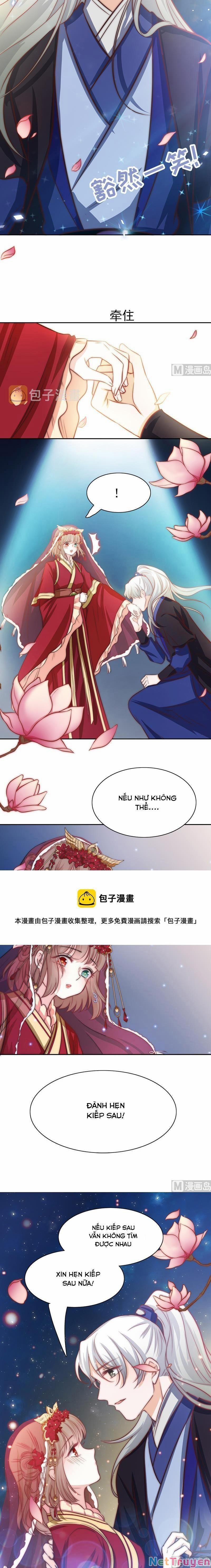 Hôn Tỉnh Thần Bảo Hộ Của Tôi 79 trang 4