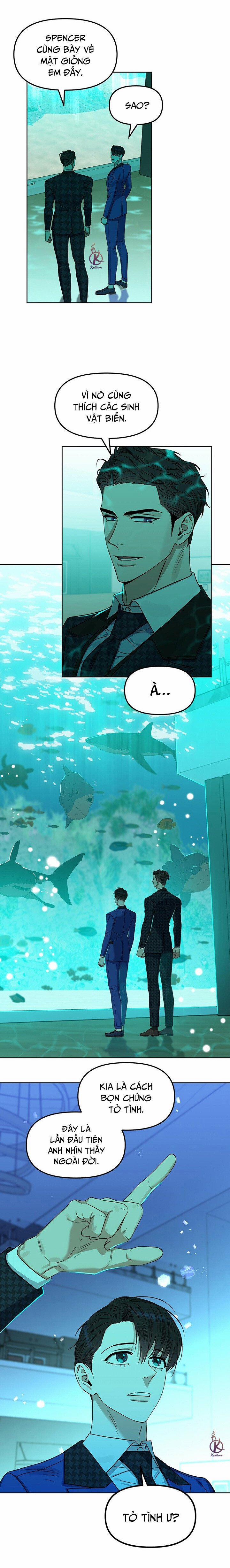 Hôn Tôi Đi, Đồ Dối Trá 74 trang 8