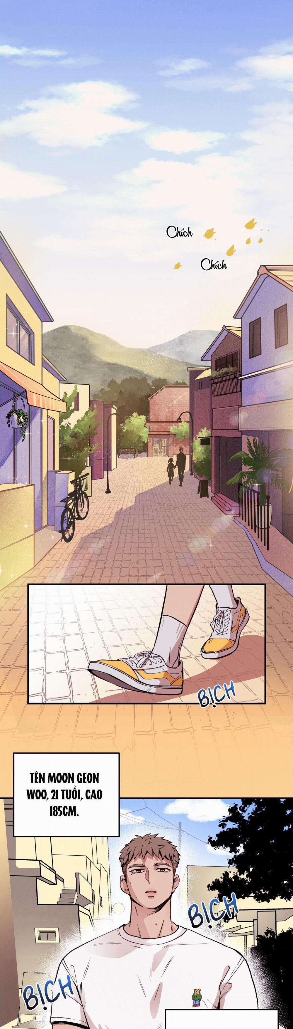 Honey Bear 1 trang 0