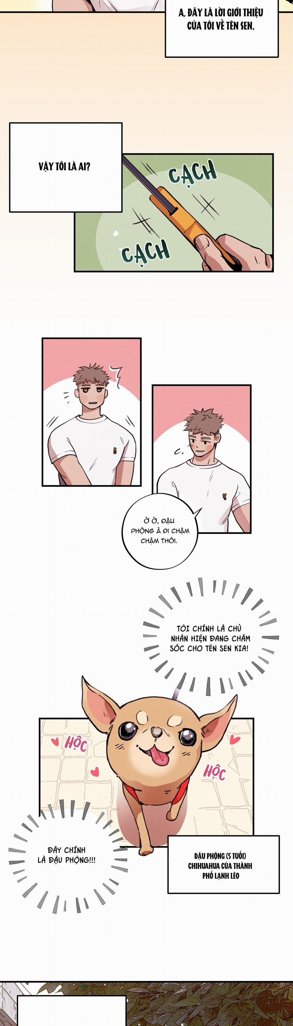 Honey Bear 1 trang 1