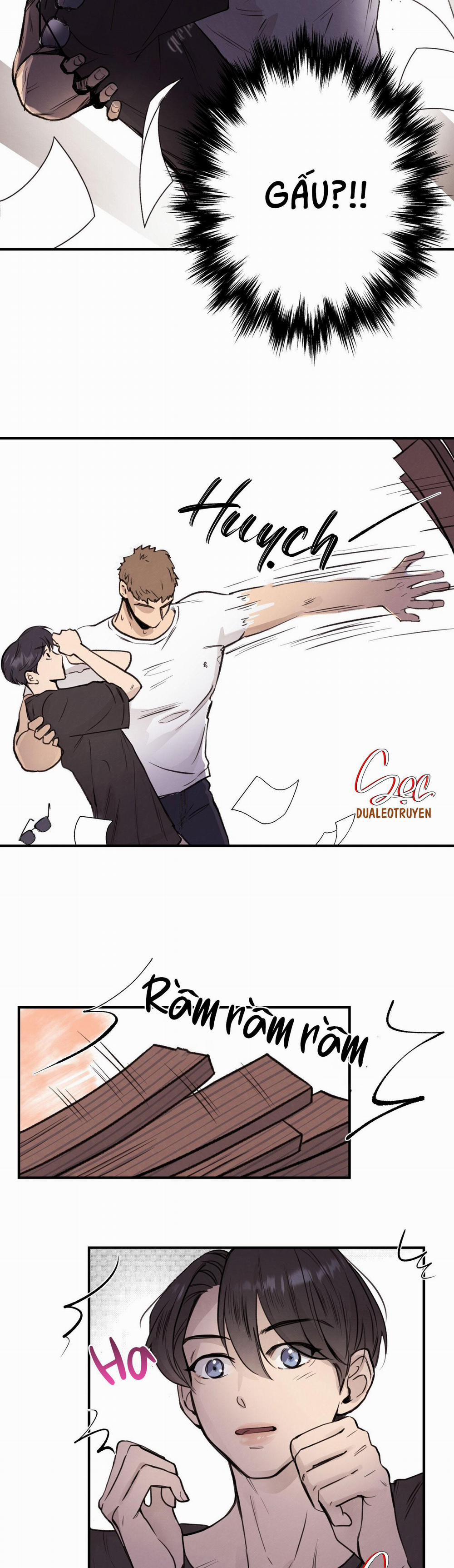 Honey Bear 1 trang 17