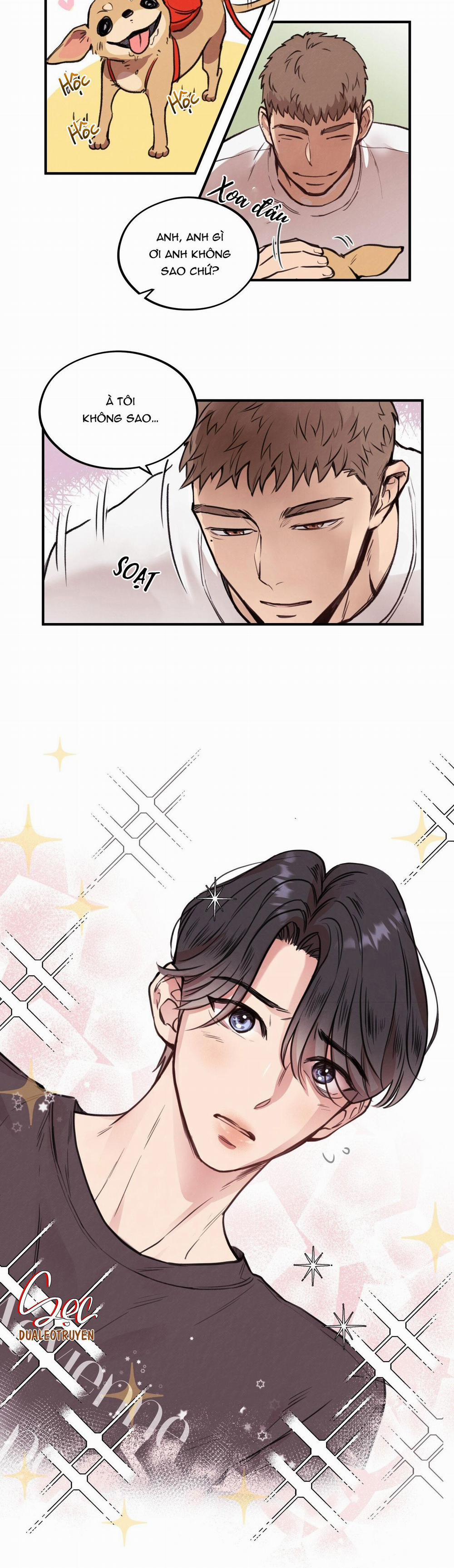 Honey Bear 1 trang 19