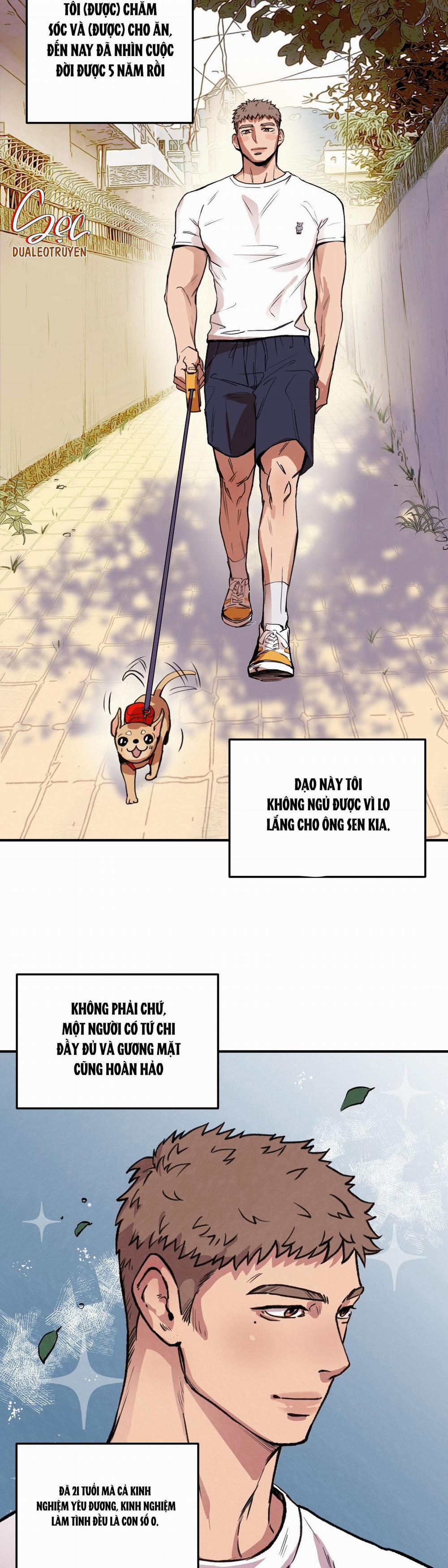 Honey Bear 1 trang 2