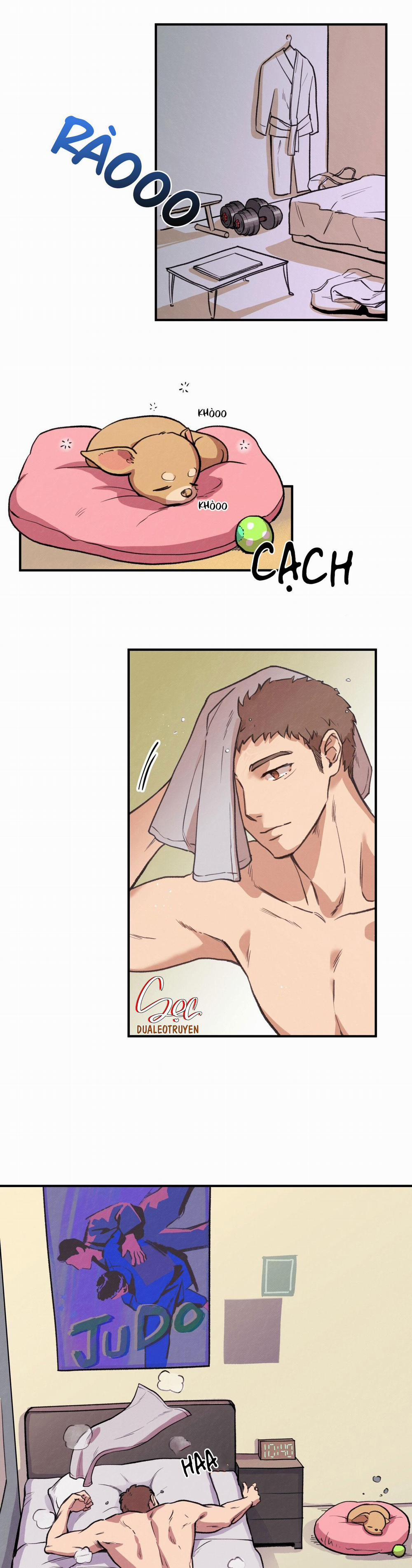 Honey Bear 1 trang 25