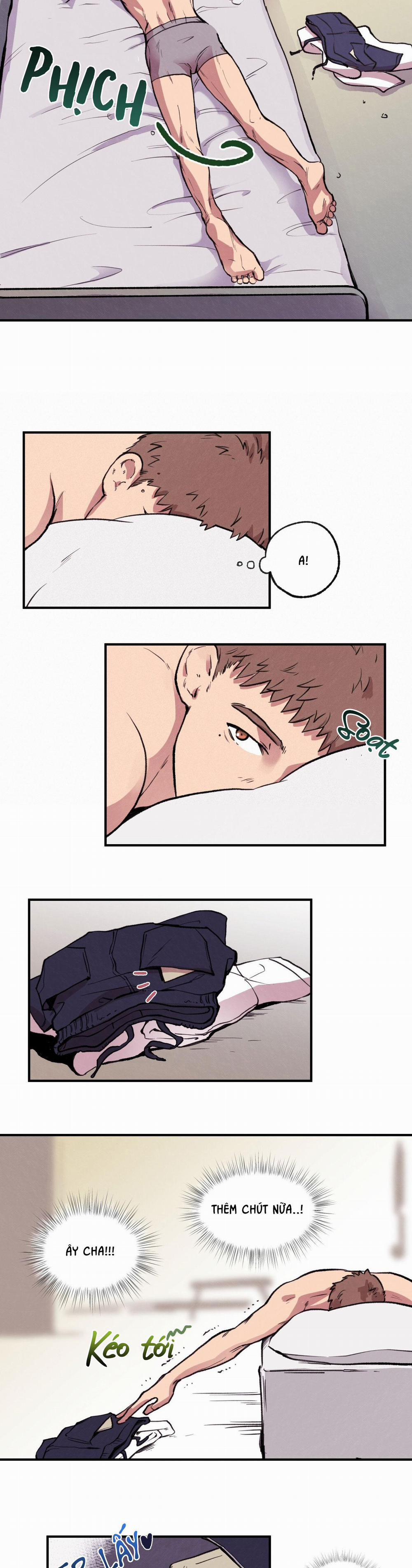 Honey Bear 1 trang 26