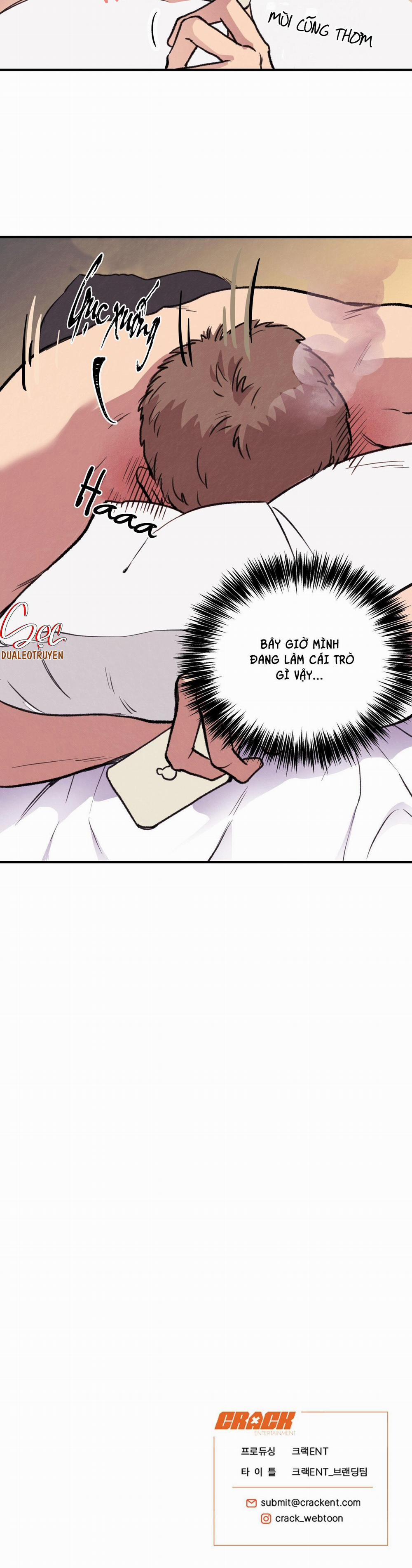 Honey Bear 1 trang 29