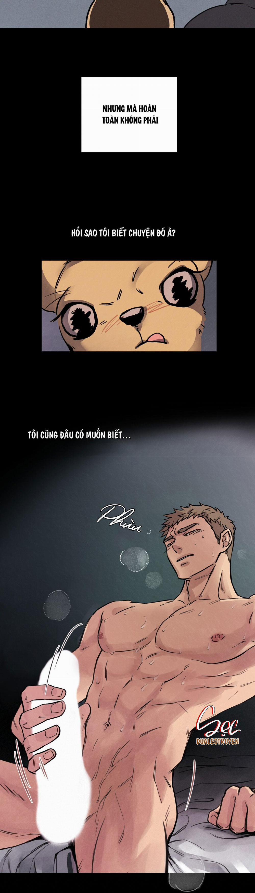 Honey Bear 1 trang 4