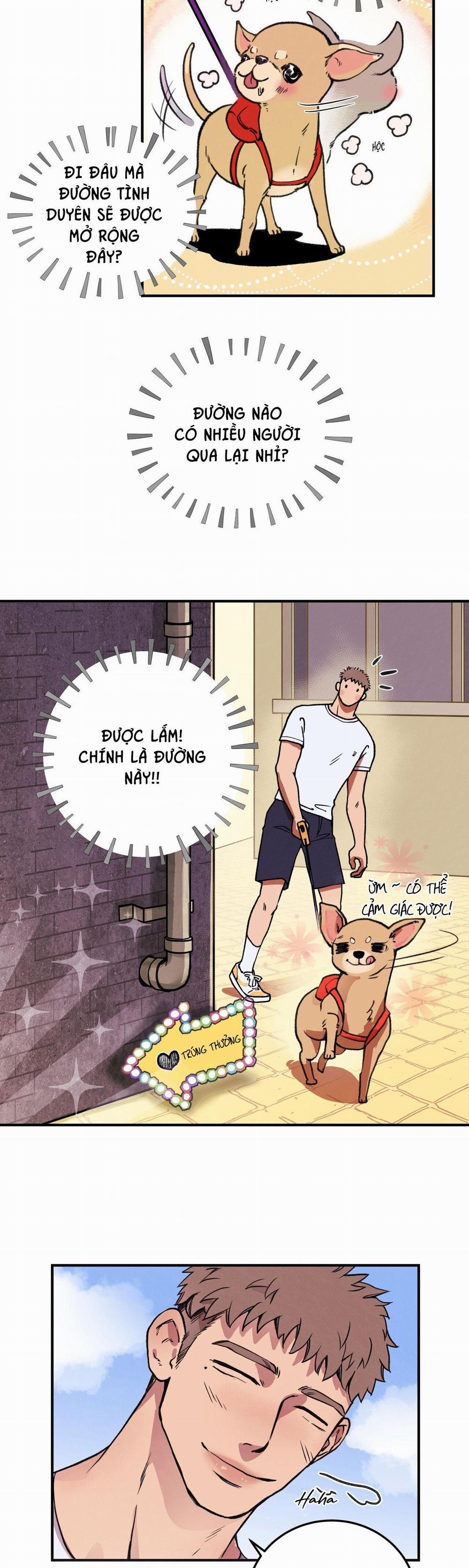 Honey Bear 1 trang 7