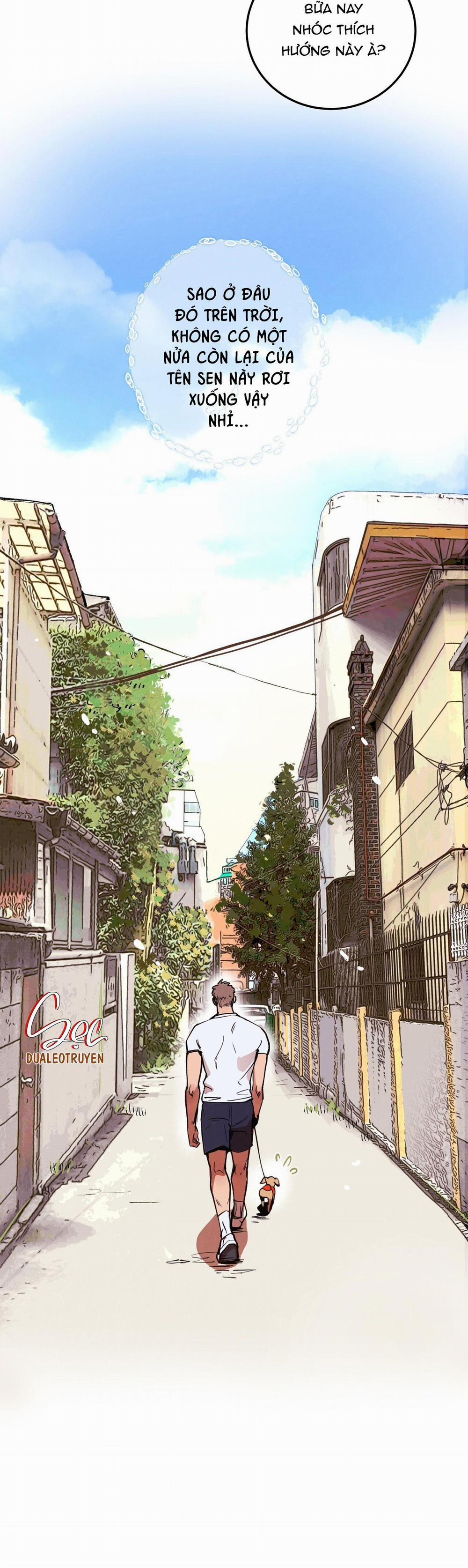 Honey Bear 1 trang 8