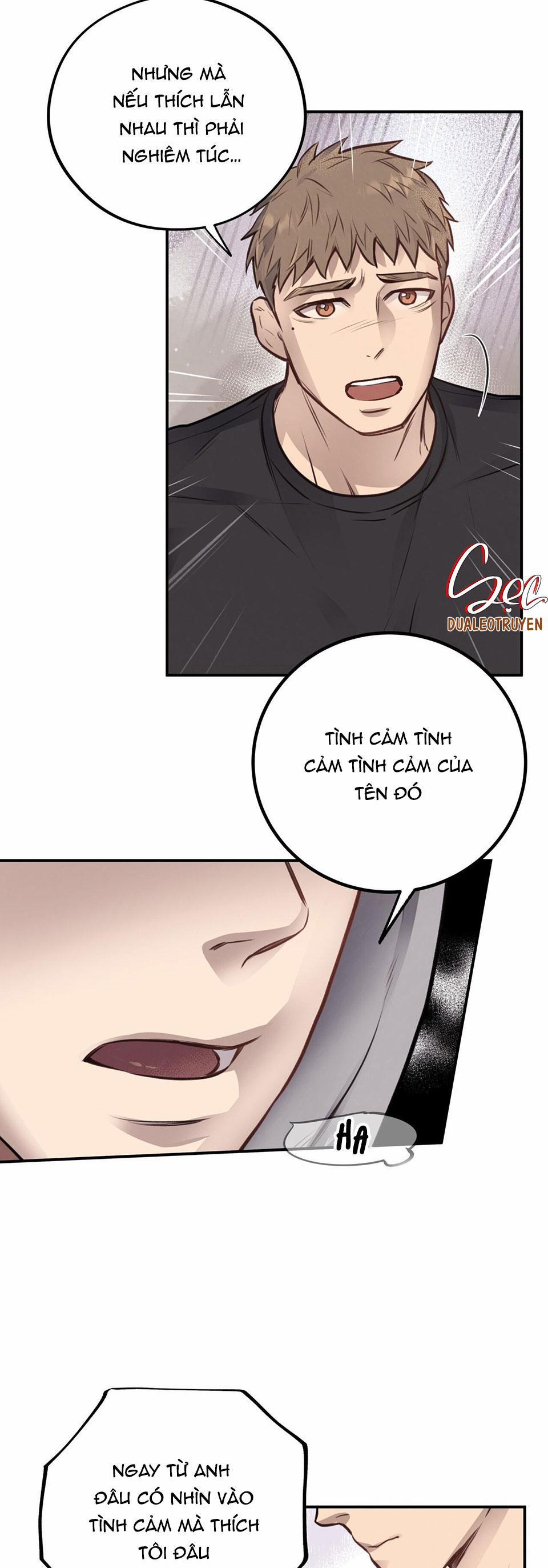 Honey Bear 10 trang 15