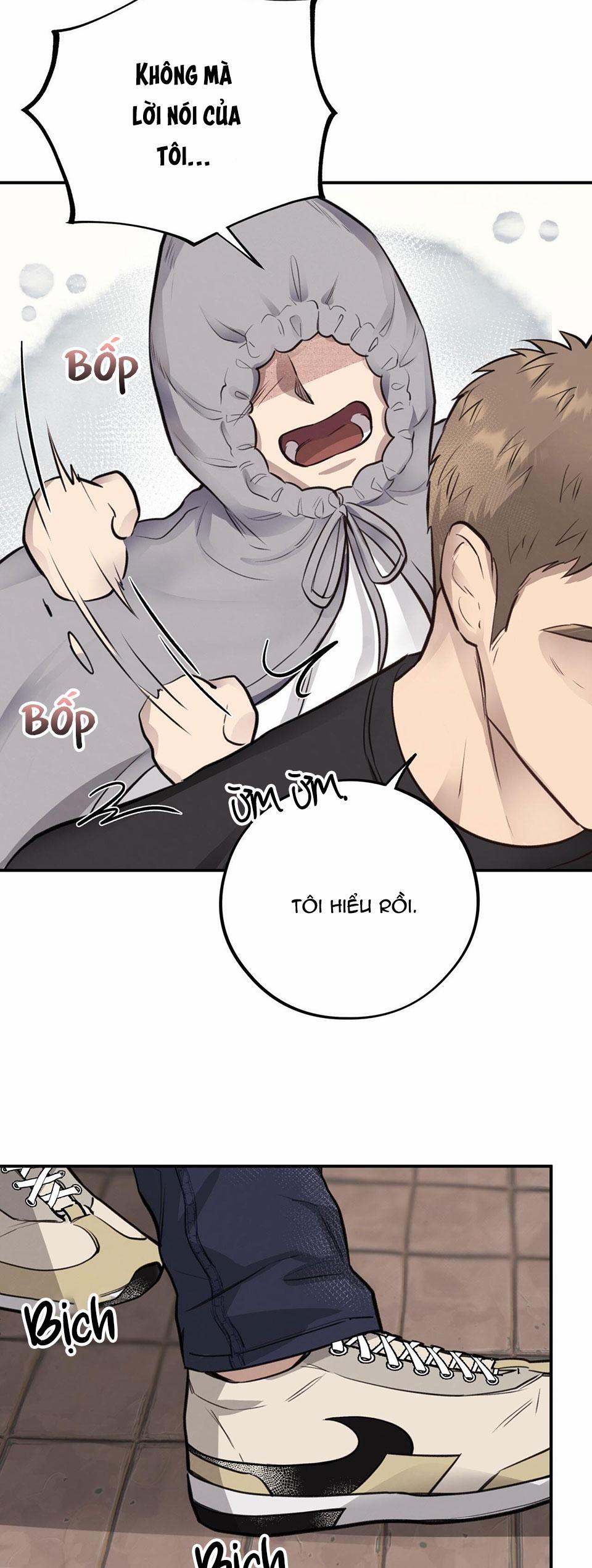 Honey Bear 10 trang 27