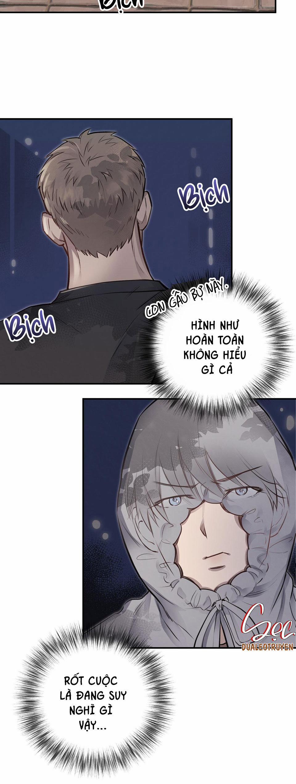 Honey Bear 10 trang 28