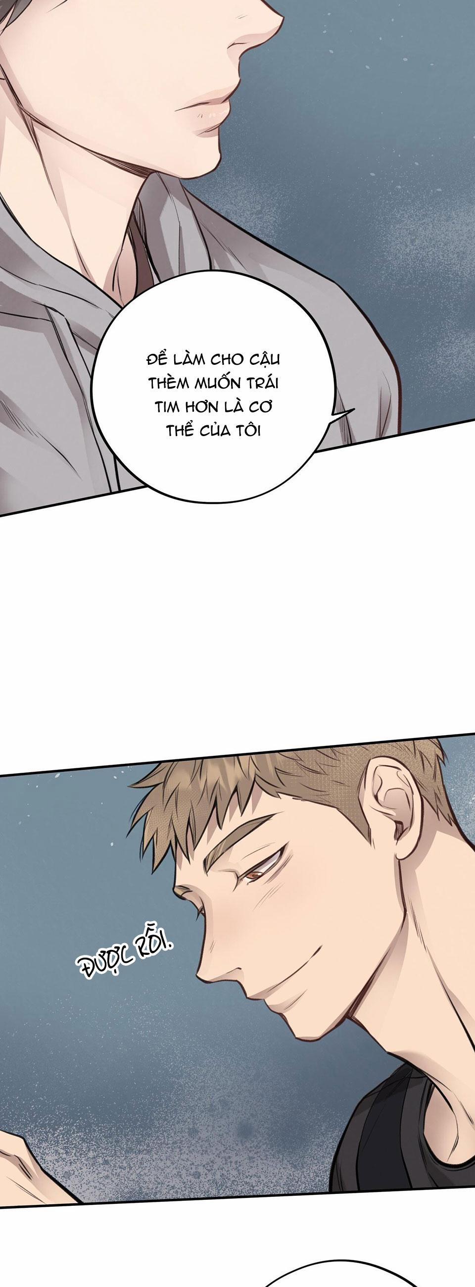 Honey Bear 10 trang 41