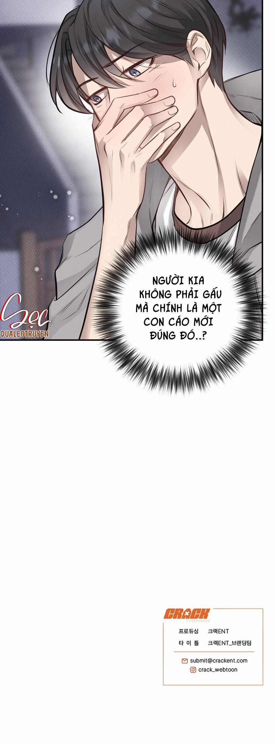 Honey Bear 10 trang 44