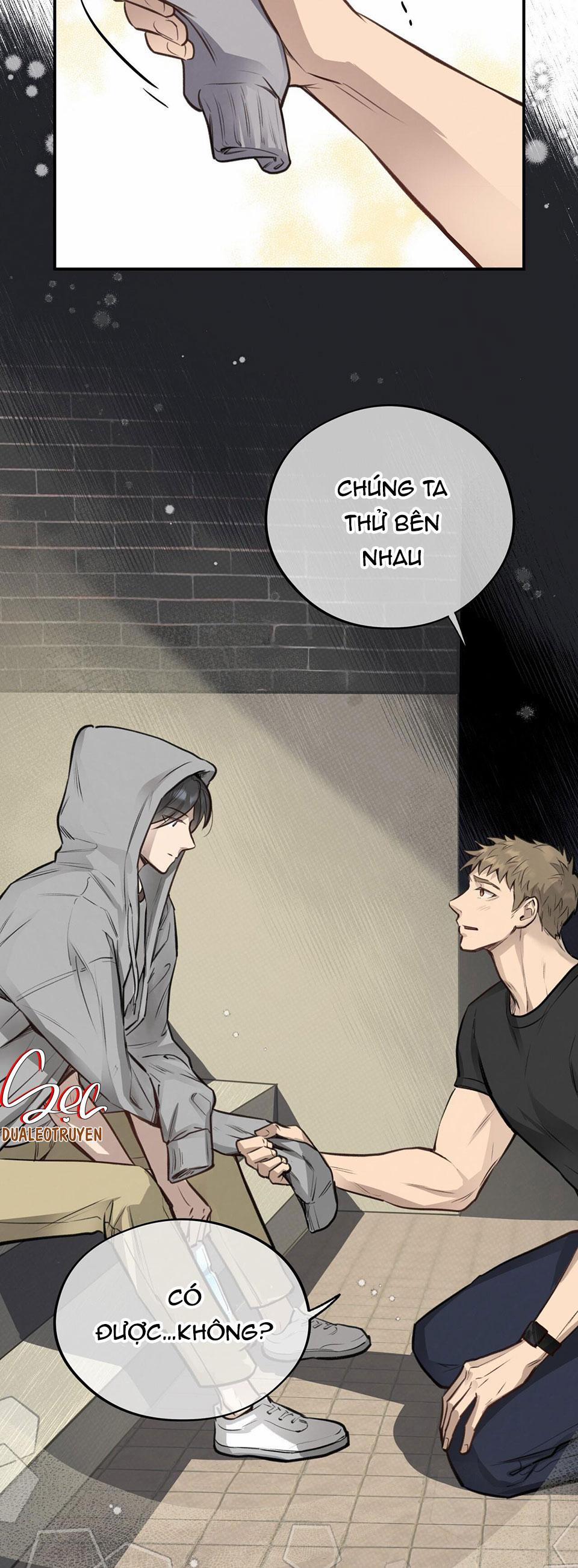 Honey Bear 10 trang 5