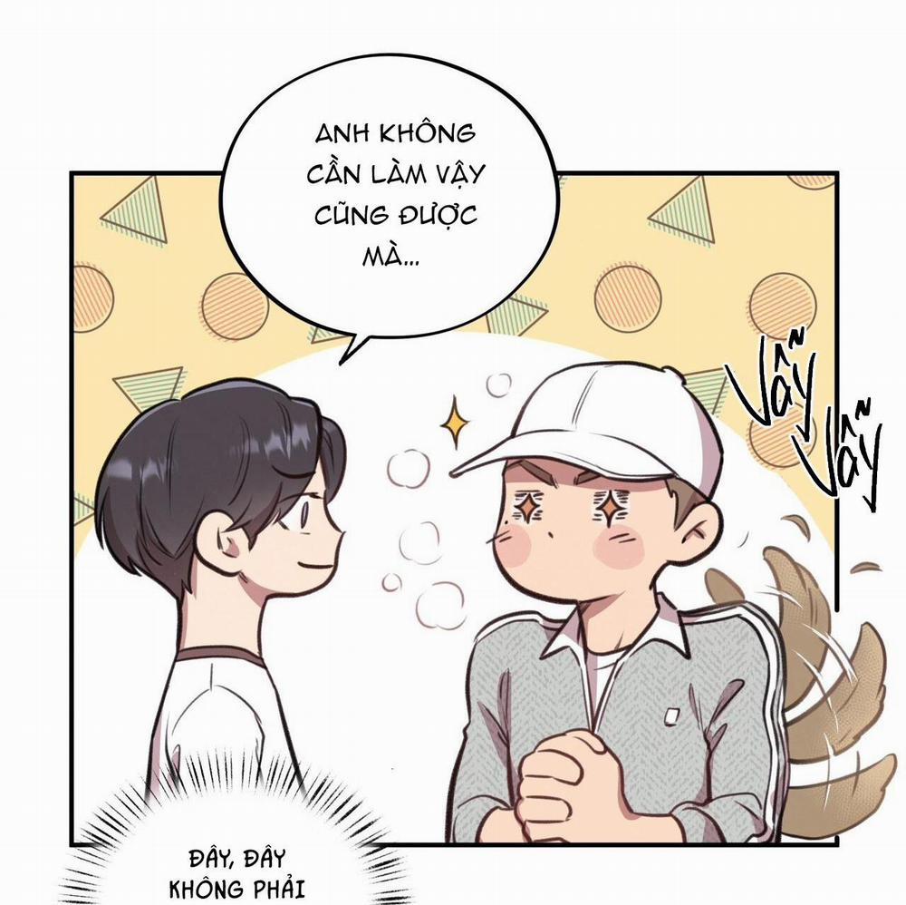 Honey Bear 11 trang 13