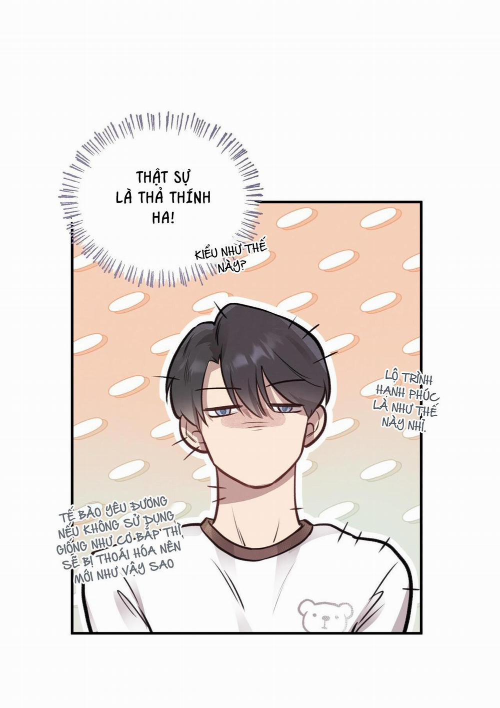 Honey Bear 11 trang 20