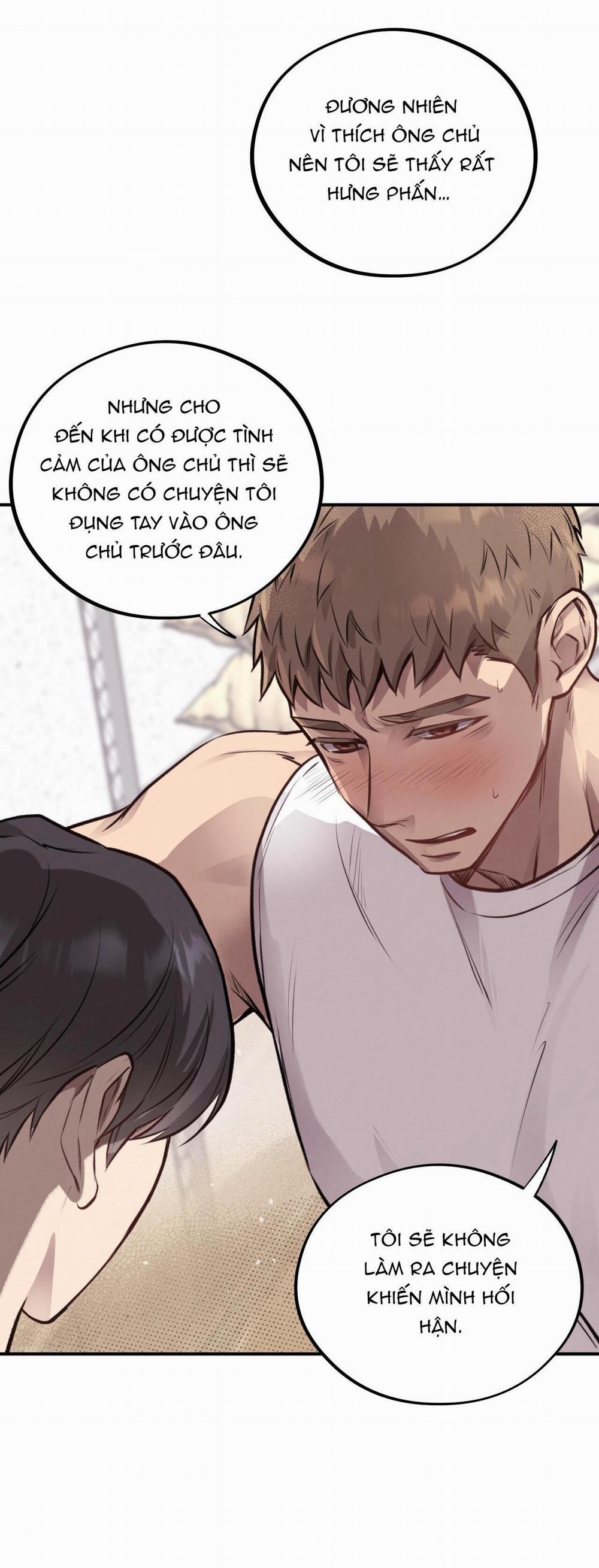 Honey Bear 12 trang 11