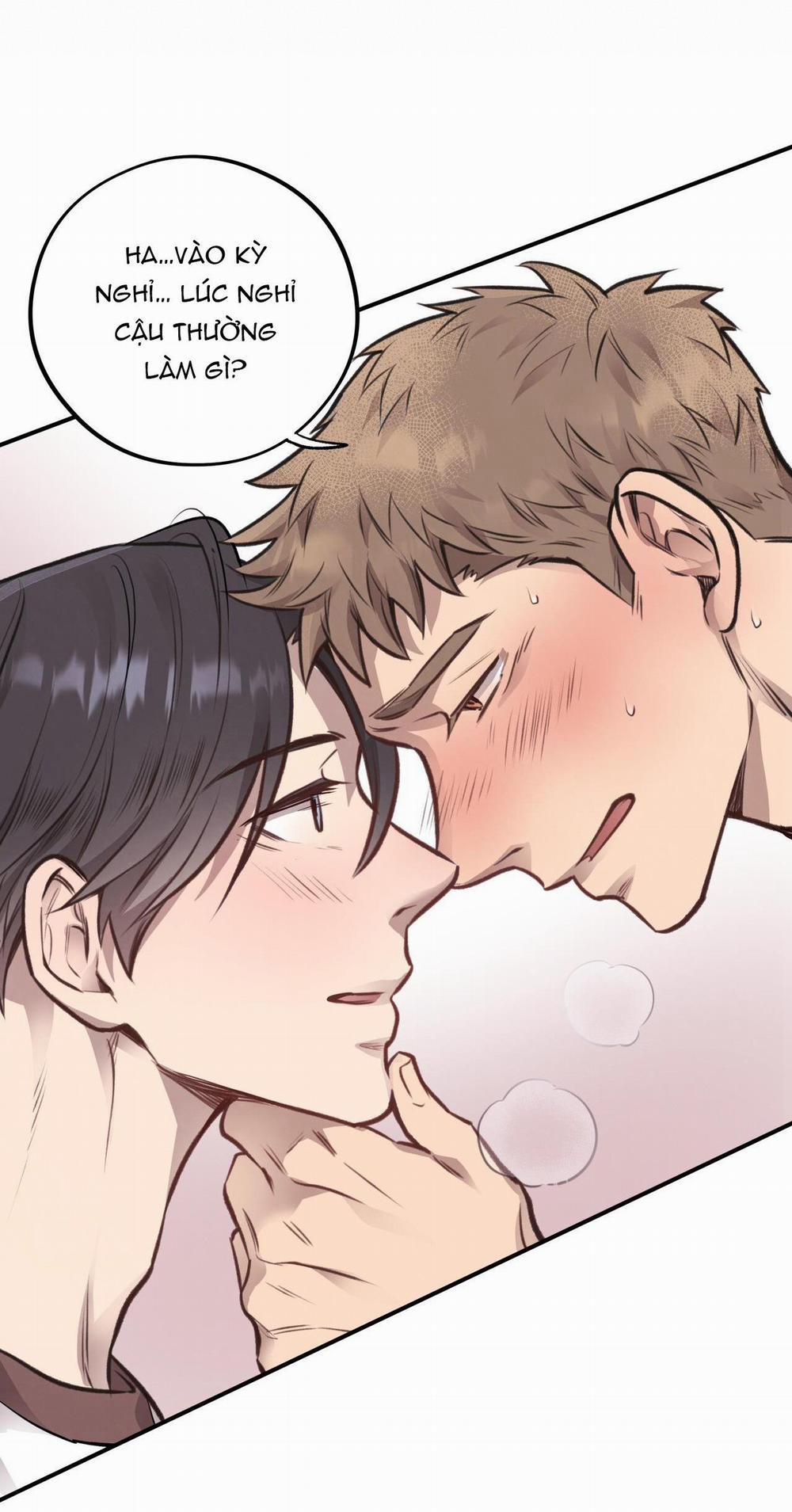 Honey Bear 12 trang 20