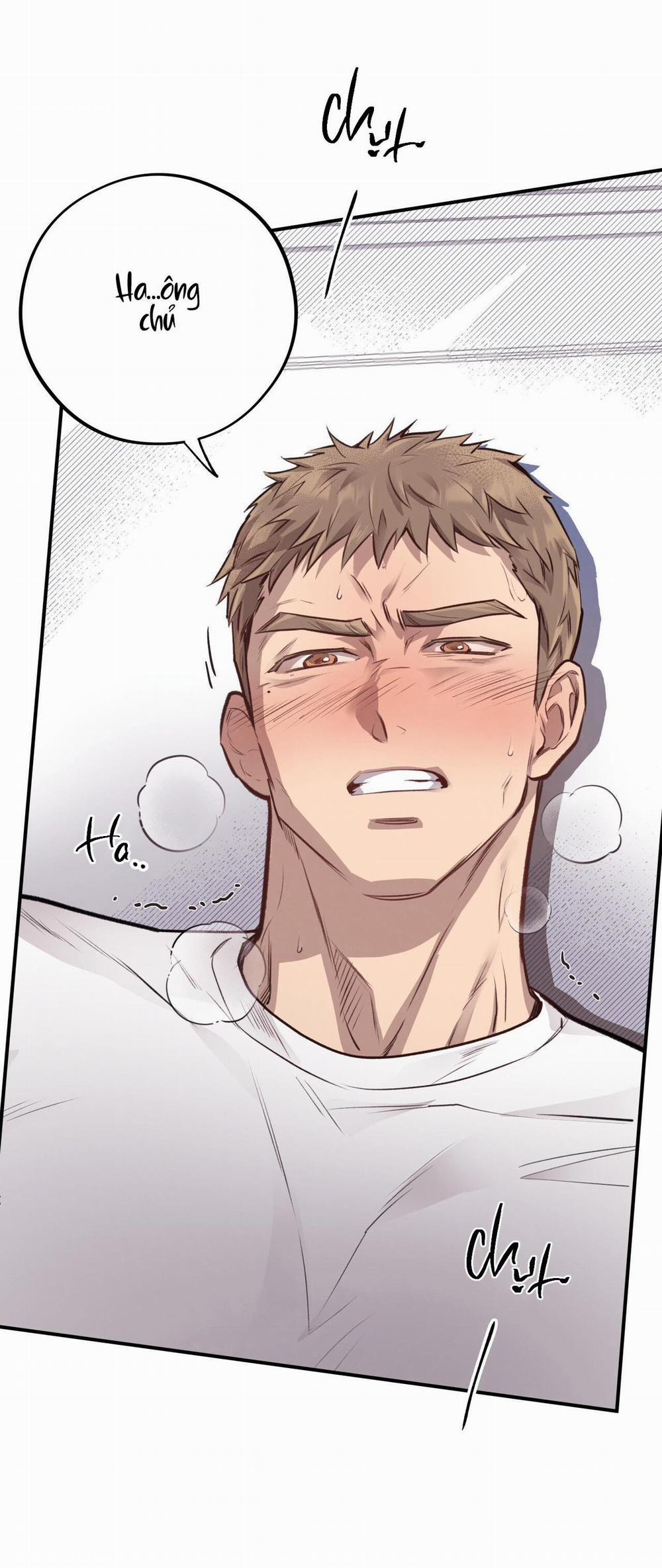 Honey Bear 12 trang 37