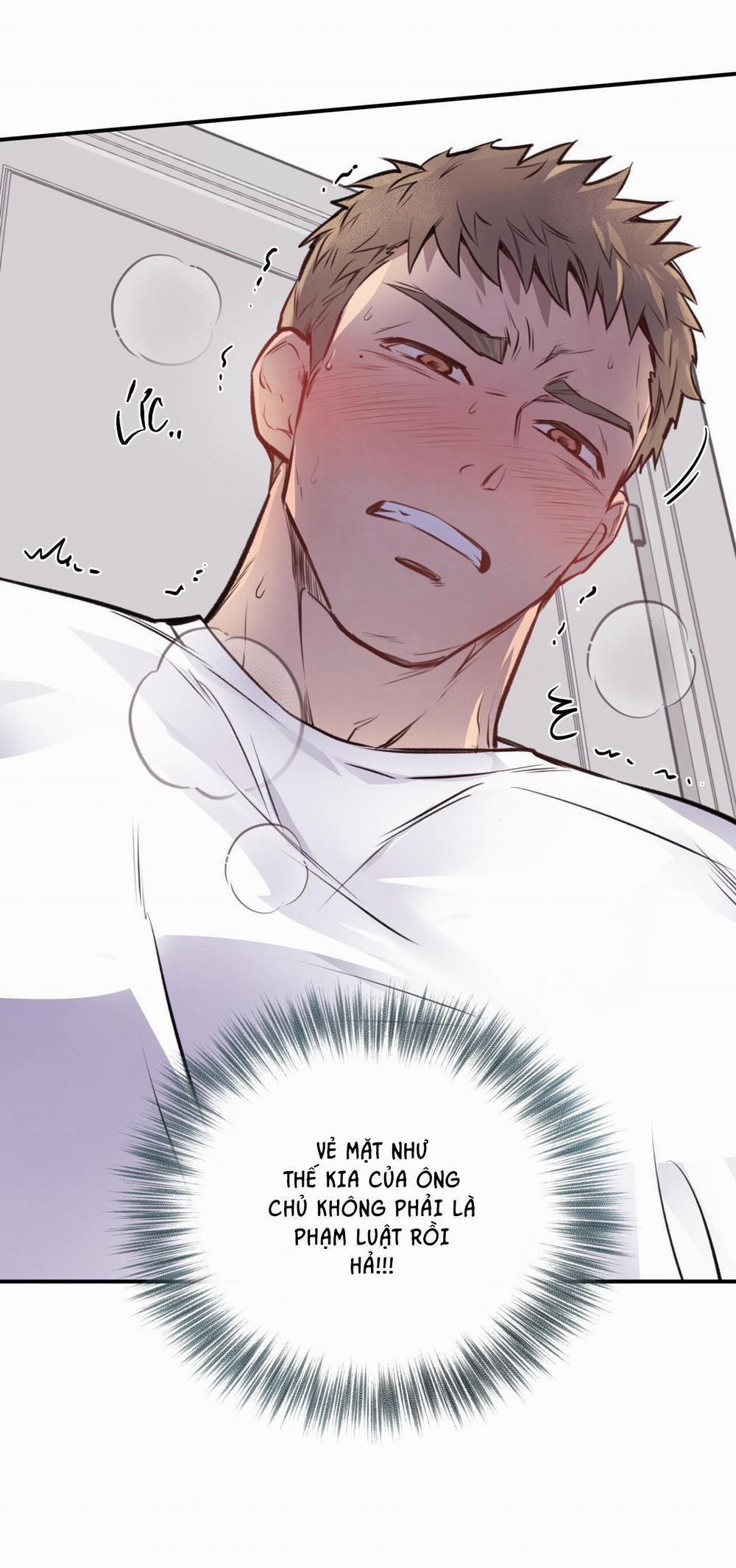 Honey Bear 12 trang 41