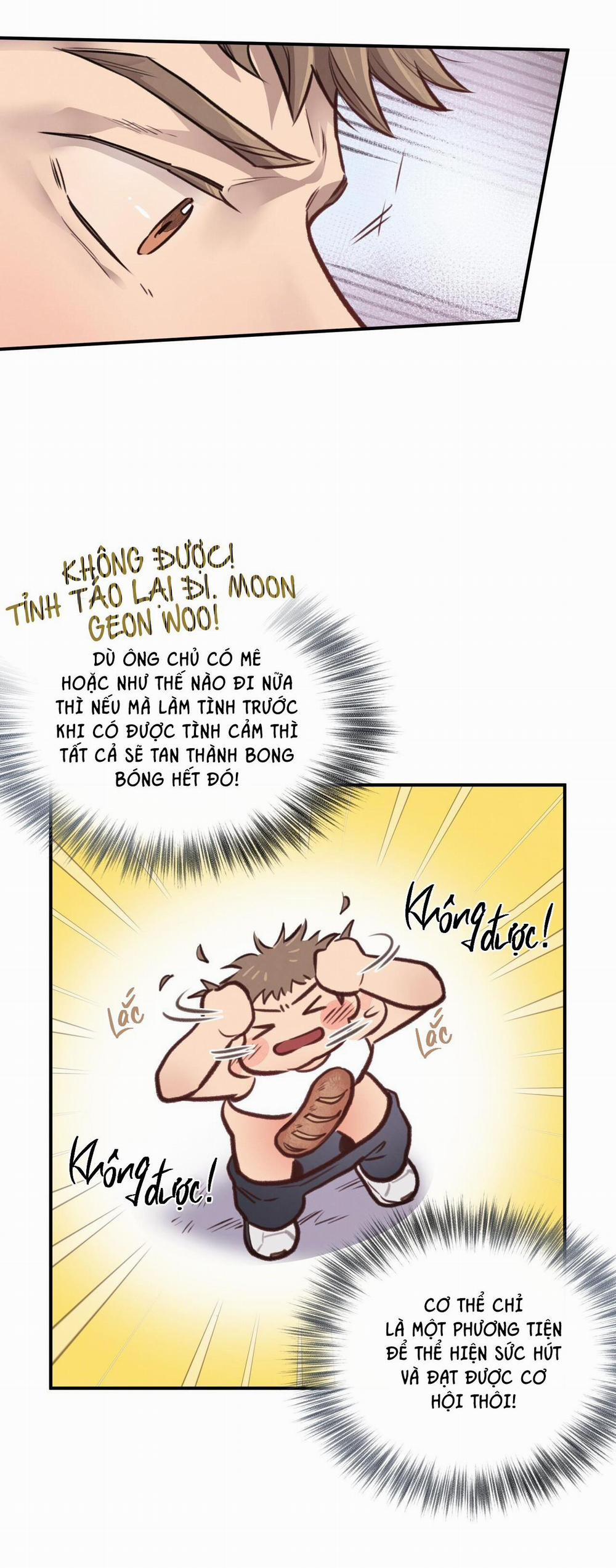 Honey Bear 12 trang 44