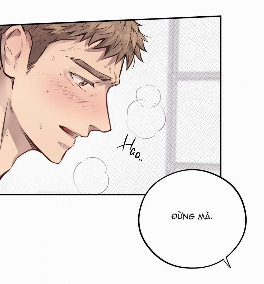 Honey Bear 12 trang 51